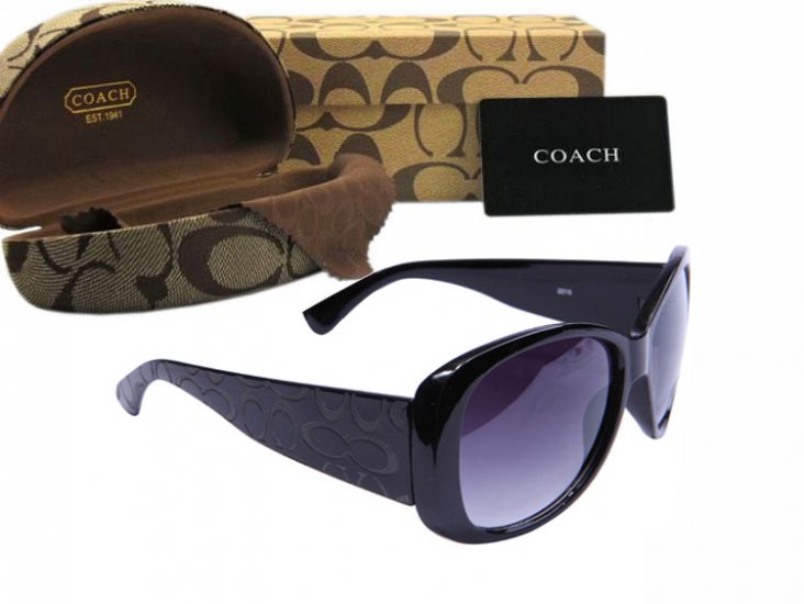 Coach Sunglasses 8006 | Women